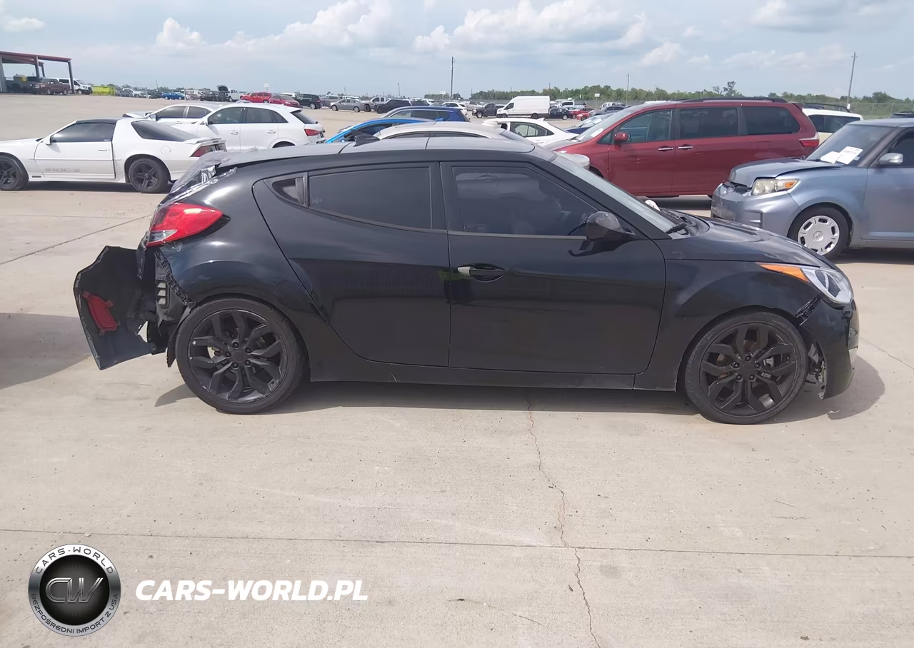 2013 Hyundai Veloster Base W-Gray VIN:KMHTC6AD9DU163961 - 12