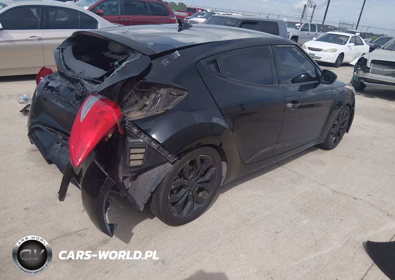 2013 Hyundai Veloster Base W-Gray VIN:KMHTC6AD9DU163961 - 4