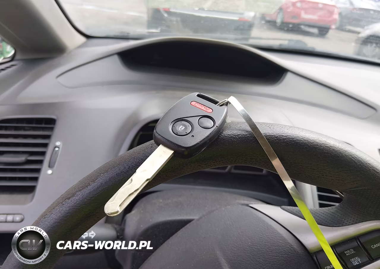 2009 Honda Civic Lx VIN:2HGFA16549H301056 - 11