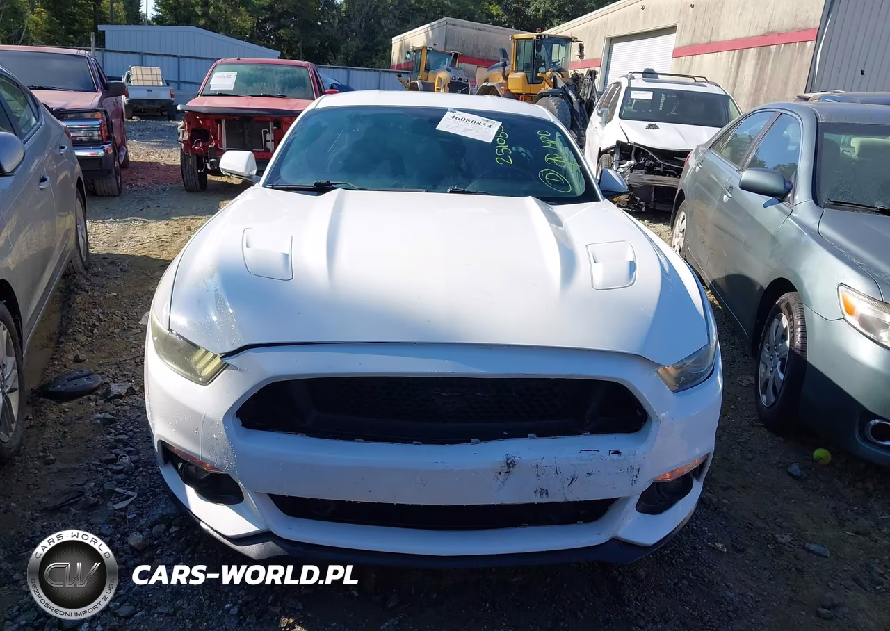 2016 Ford Mustang Gt VIN:1FA6P8CF8G5251050 - 12