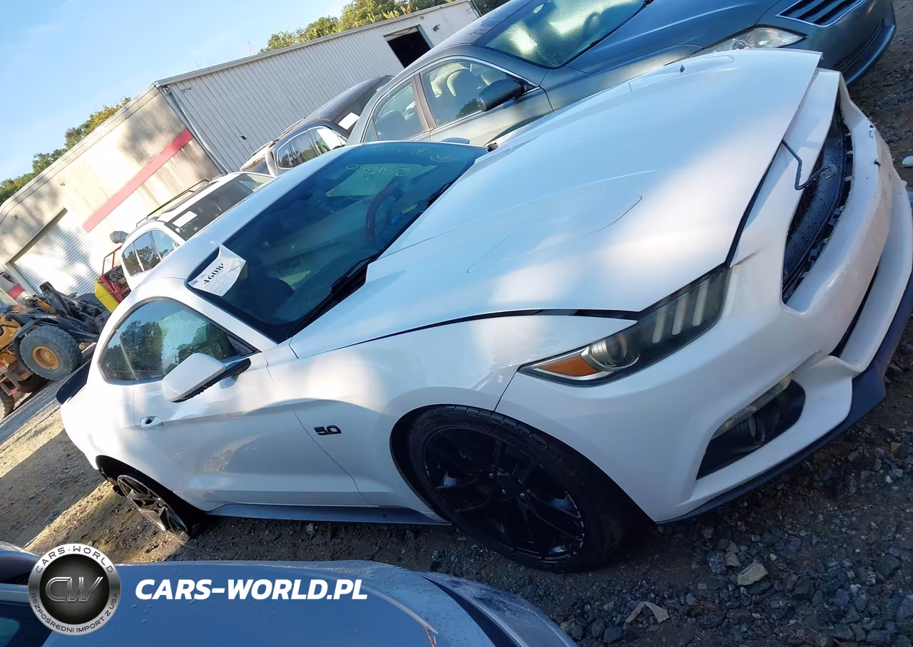2016 Ford Mustang Gt VIN:1FA6P8CF8G5251050 - 13