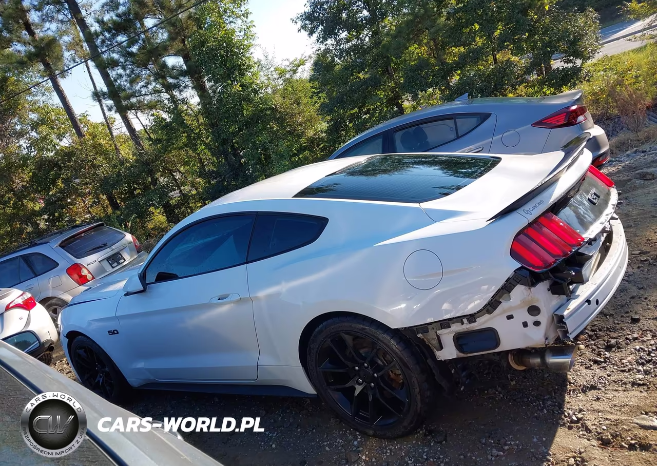 2016 Ford Mustang Gt VIN:1FA6P8CF8G5251050 - 14