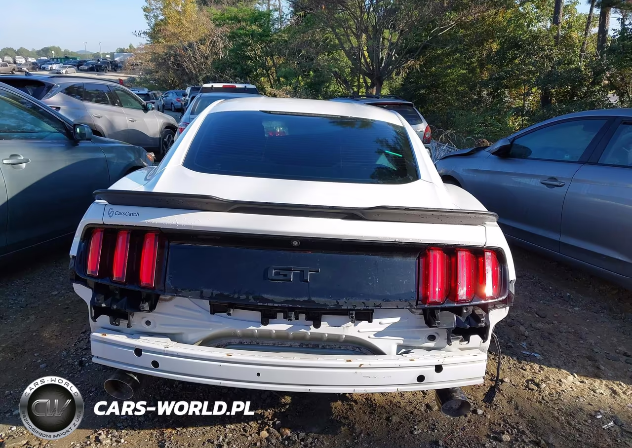 2016 Ford Mustang Gt VIN:1FA6P8CF8G5251050 - 16