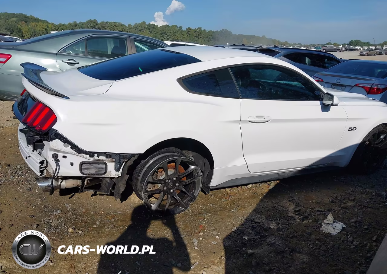 2016 Ford Mustang Gt VIN:1FA6P8CF8G5251050 - 17