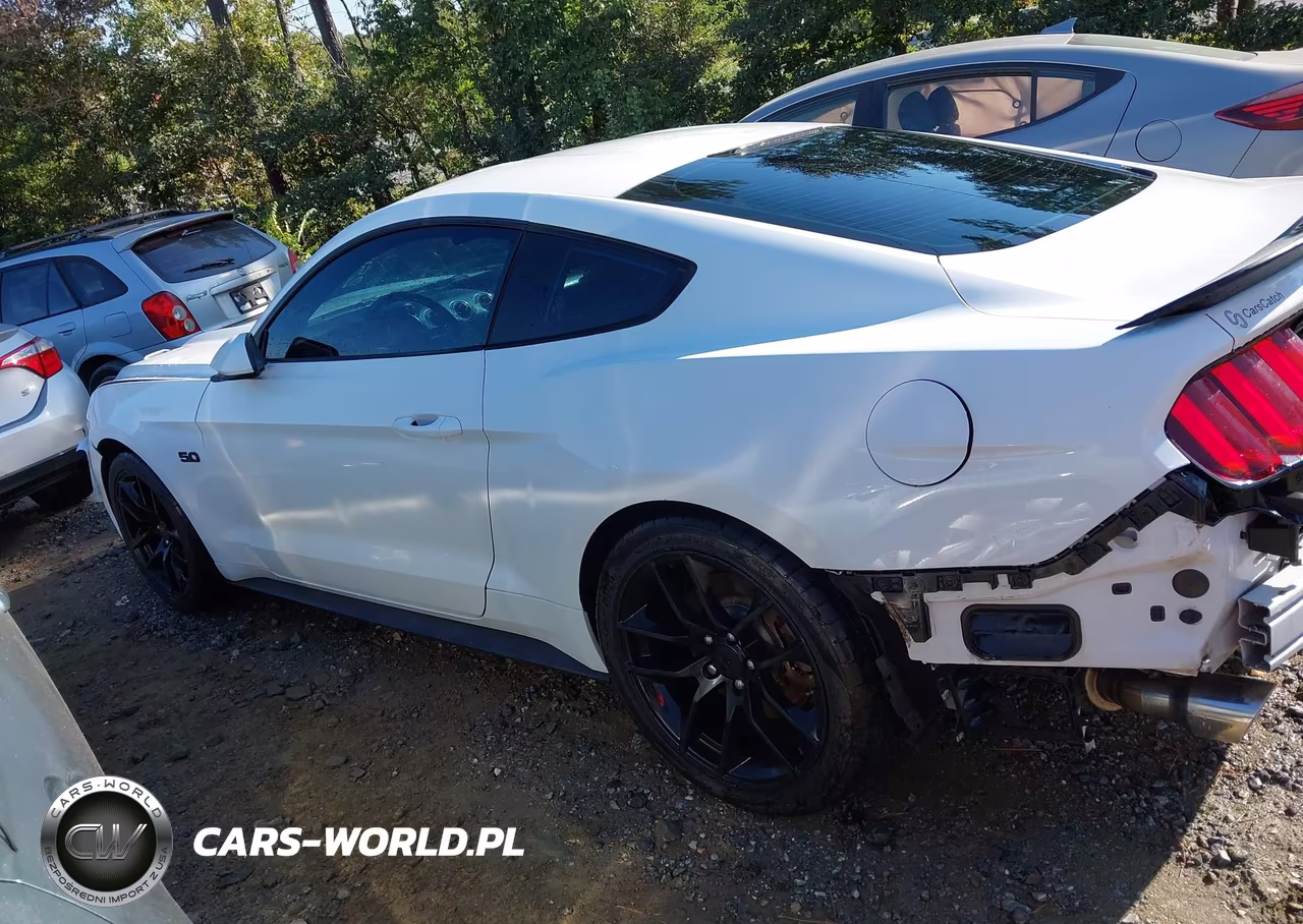 2016 Ford Mustang Gt VIN:1FA6P8CF8G5251050 - 18