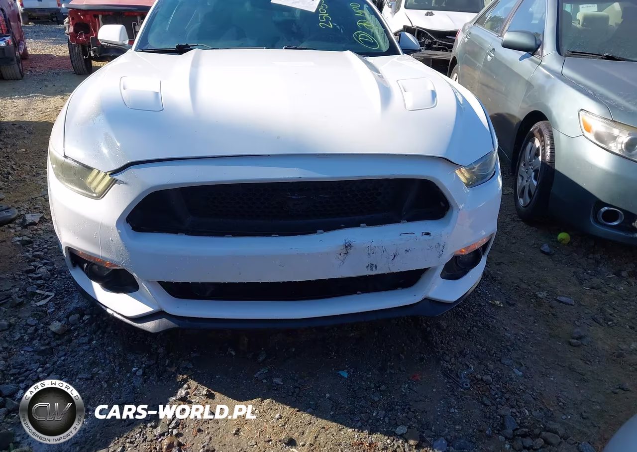 2016 Ford Mustang Gt VIN:1FA6P8CF8G5251050 - 19