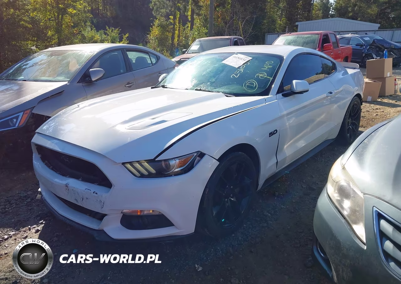 2016 Ford Mustang Gt VIN:1FA6P8CF8G5251050 - 2