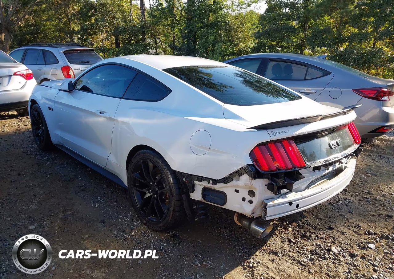 2016 Ford Mustang Gt VIN:1FA6P8CF8G5251050 - 3