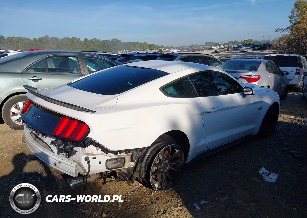 2016 Ford Mustang Gt VIN:1FA6P8CF8G5251050 - 4