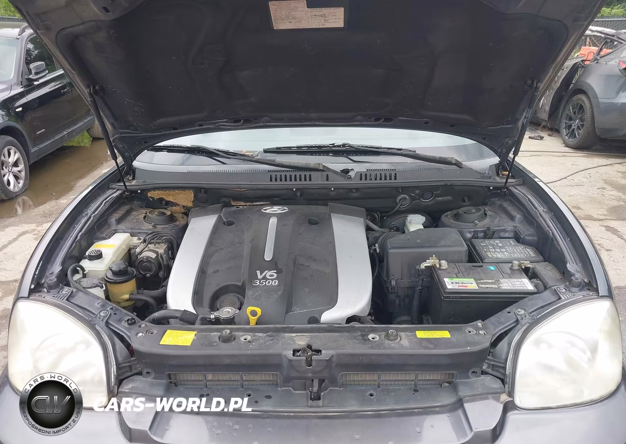 2005 Hyundai Santa Fe Gls-Lx VIN:KM8SC13E15U904982 - 10