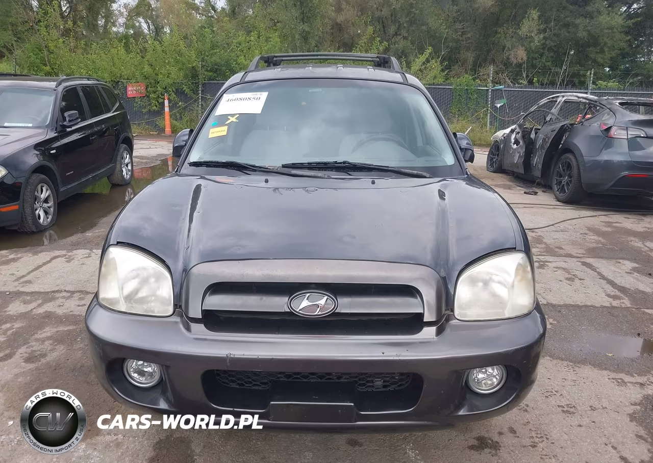 2005 Hyundai Santa Fe Gls-Lx VIN:KM8SC13E15U904982 - 12