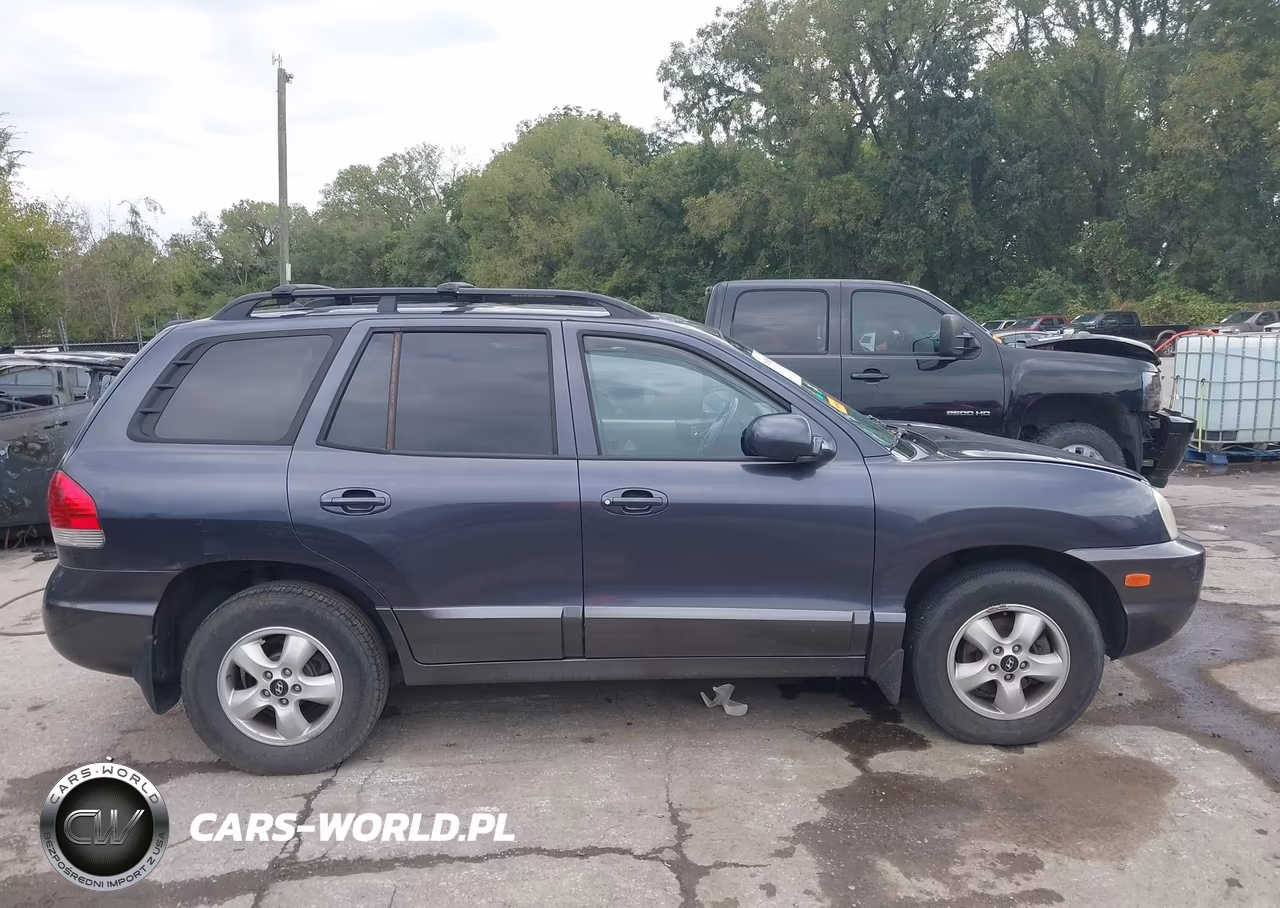 2005 Hyundai Santa Fe Gls-Lx VIN:KM8SC13E15U904982 - 13