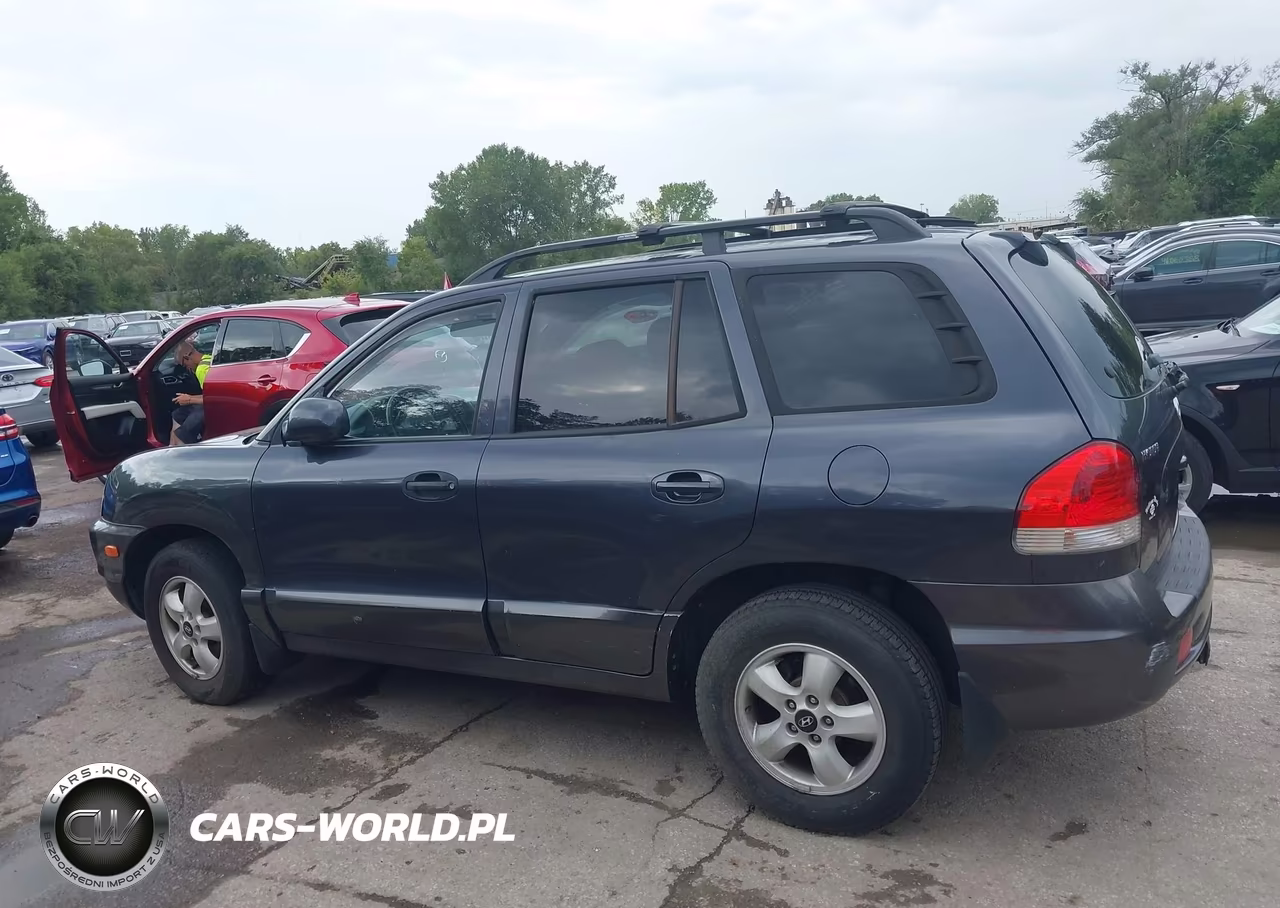 2005 Hyundai Santa Fe Gls-Lx VIN:KM8SC13E15U904982 - 14