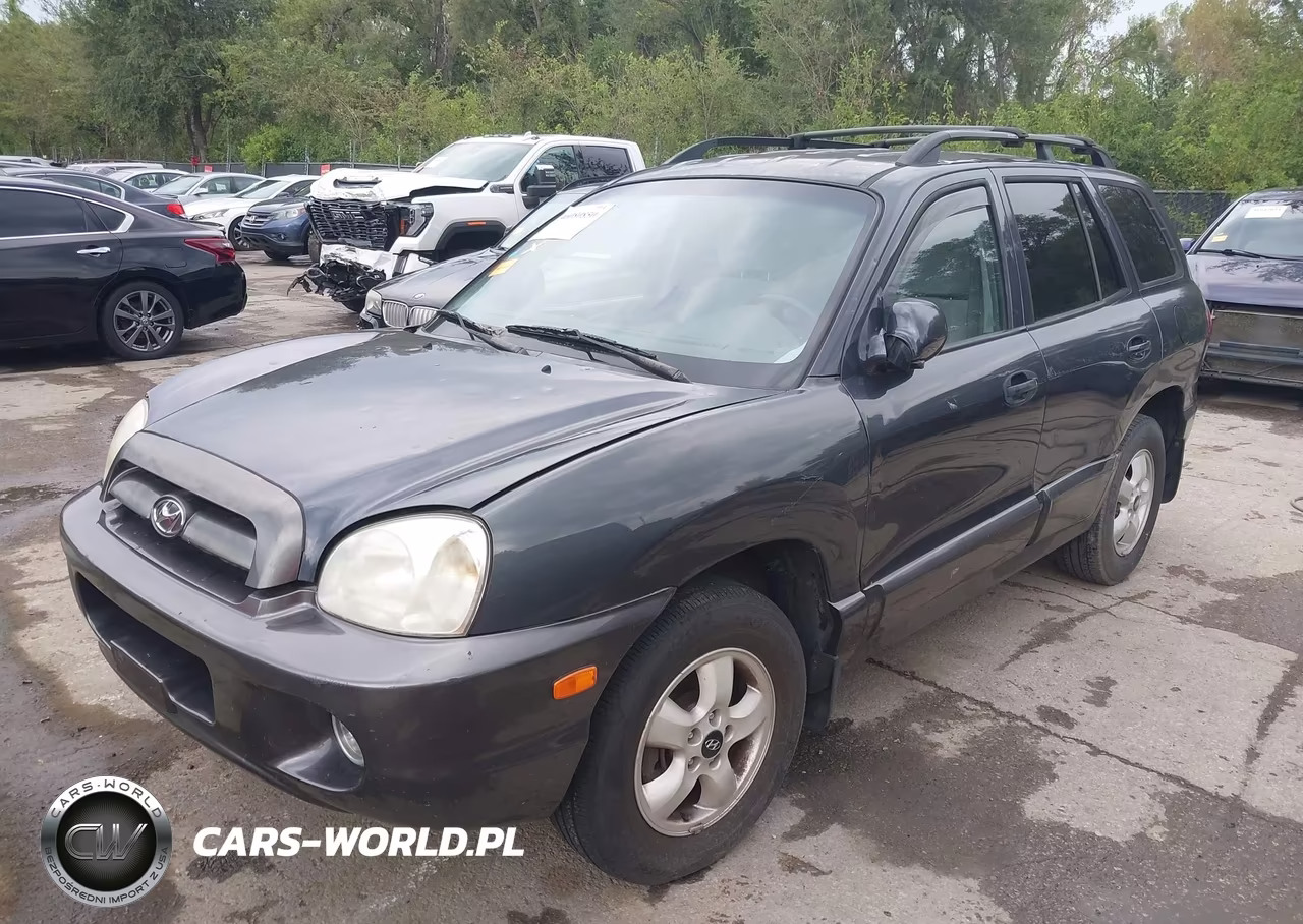 2005 Hyundai Santa Fe Gls-Lx VIN:KM8SC13E15U904982 - 2