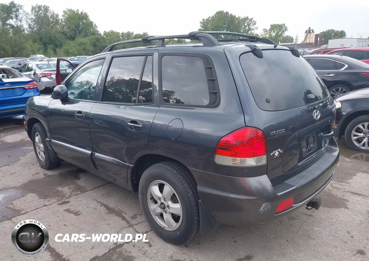 2005 Hyundai Santa Fe Gls-Lx VIN:KM8SC13E15U904982 - 3