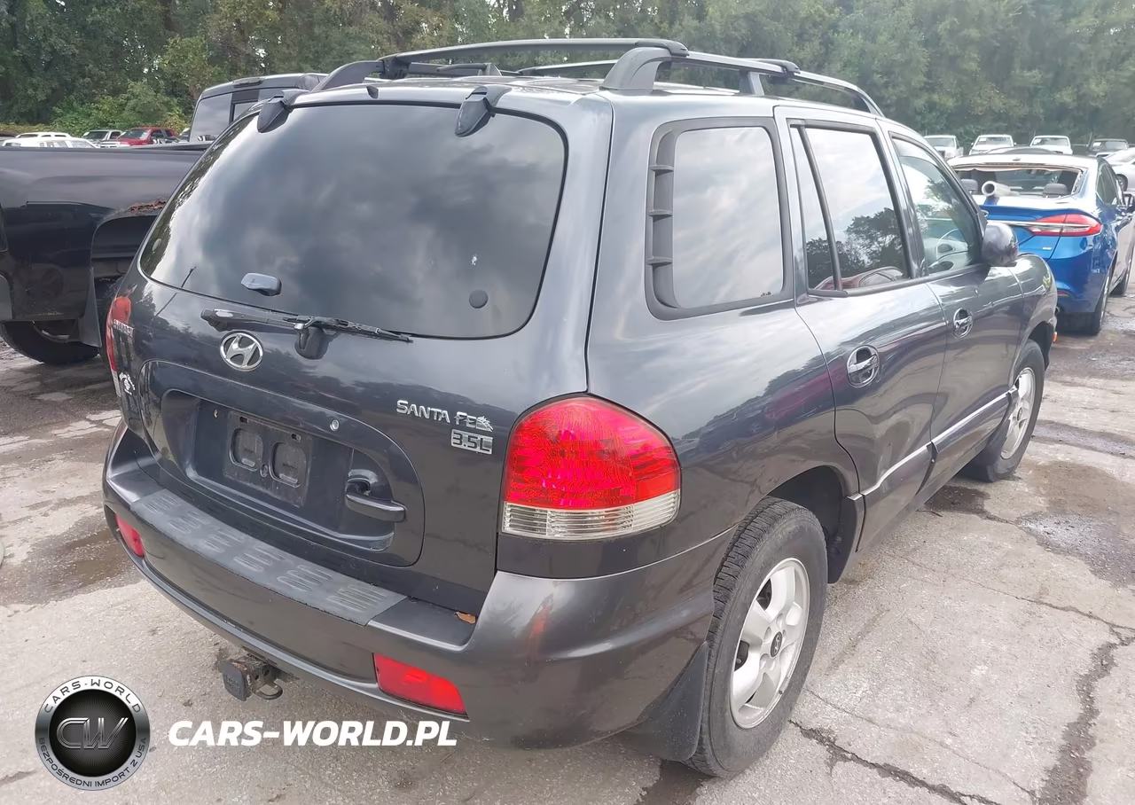 2005 Hyundai Santa Fe Gls-Lx VIN:KM8SC13E15U904982 - 4