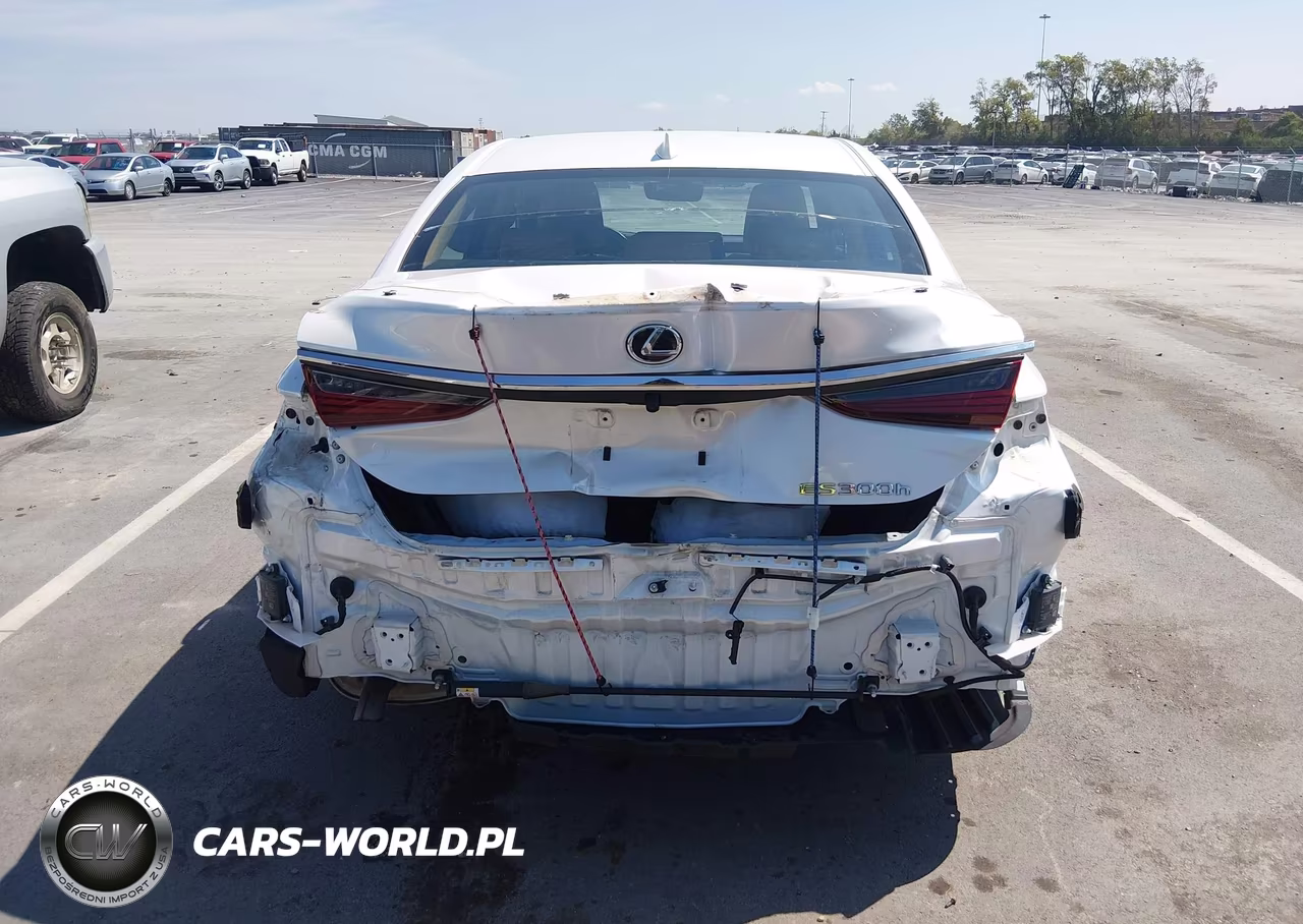 2024 Lexus Es 300H Ultra Luxury VIN:58AFA1C11RU037635 - 6