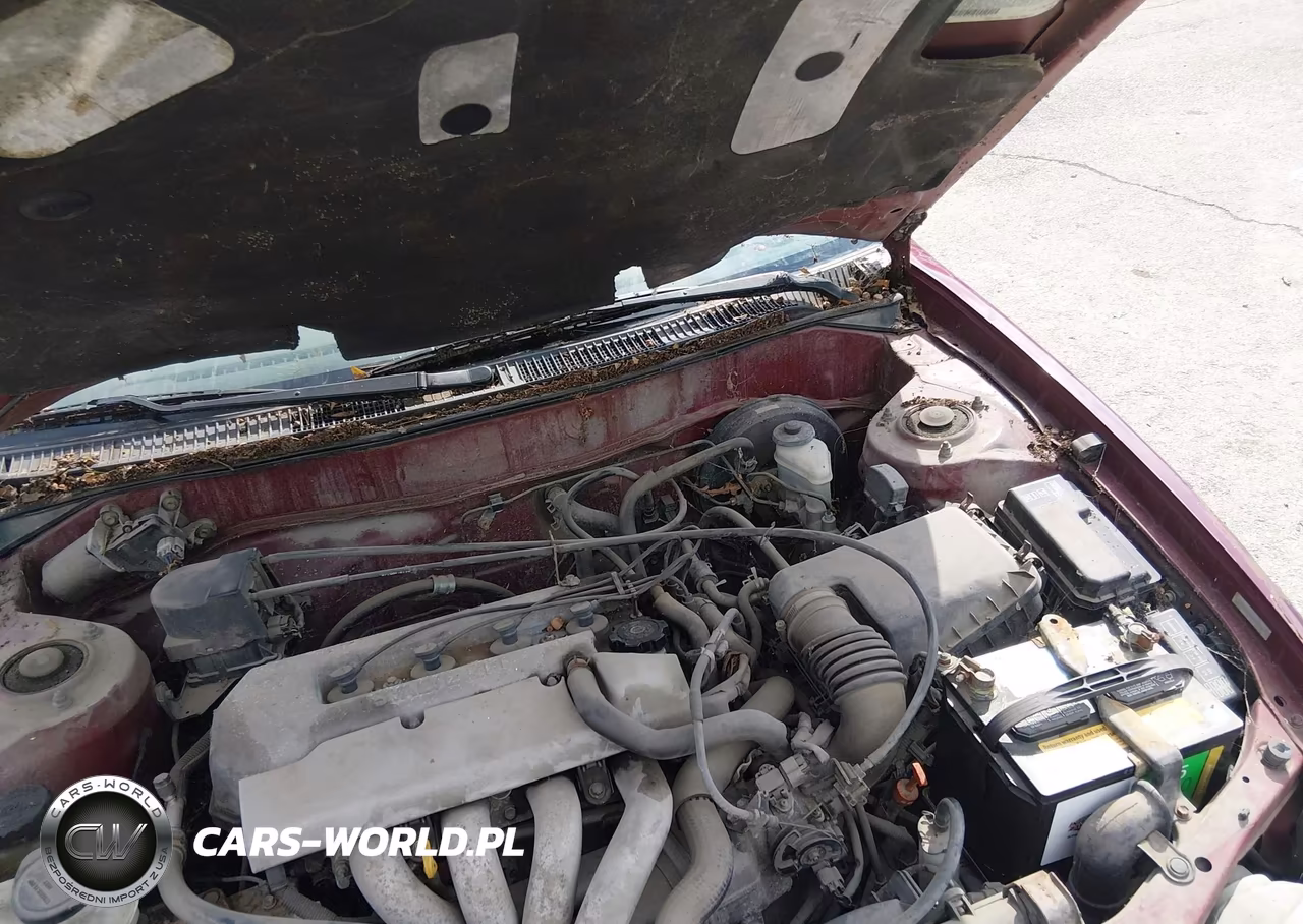 1998 Toyota Corolla Le VIN:2T1BR18E7WC068458 - 10