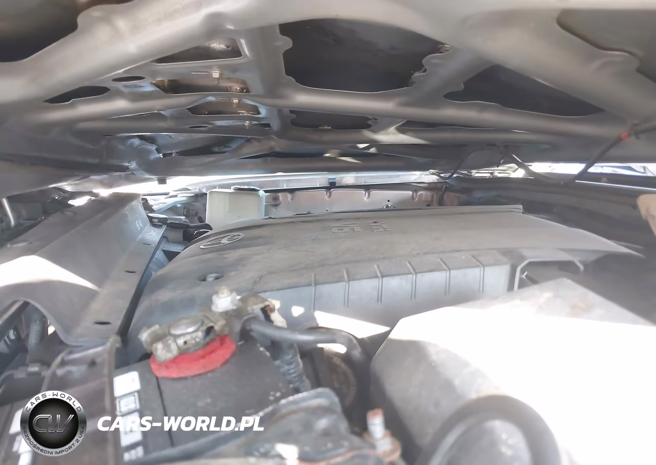 2008 Toyota Tacoma Base V6 VIN:3TMMU52N78M005815 - 10