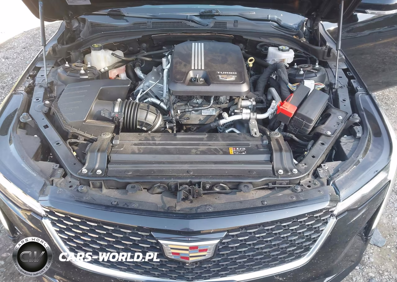 2021 Cadillac Ct4 Premium Luxury VIN:1G6DF5RKXM0111519 - 10