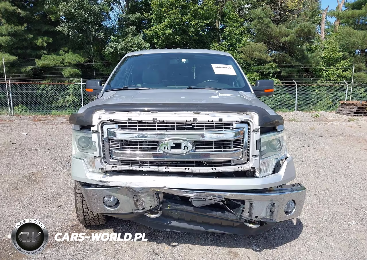 2014 Ford F-150 Xlt VIN:1FTFX1ET7EKE75865 - 13