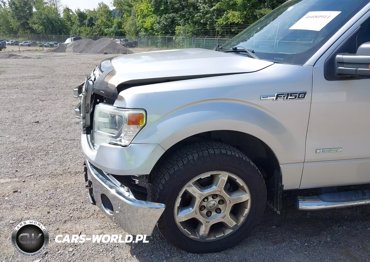 2014 Ford F-150 Xlt VIN:1FTFX1ET7EKE75865 - 19