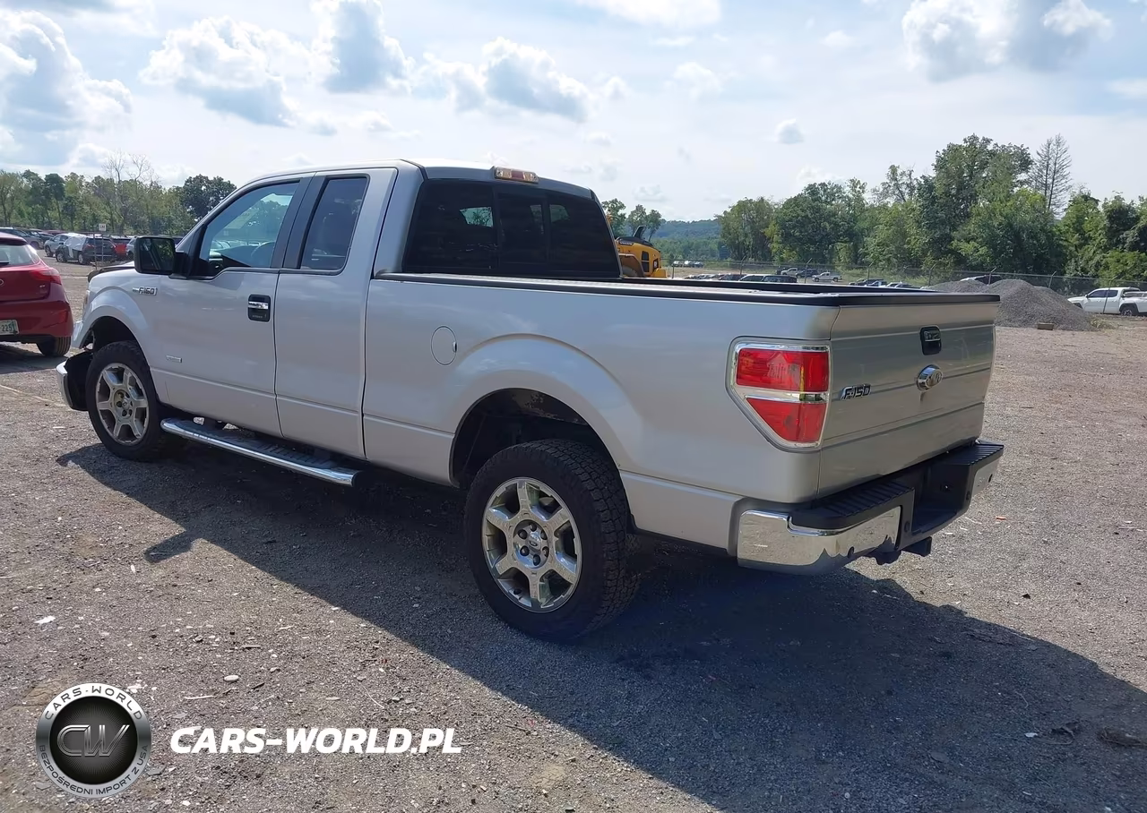 2014 Ford F-150 Xlt VIN:1FTFX1ET7EKE75865 - 3