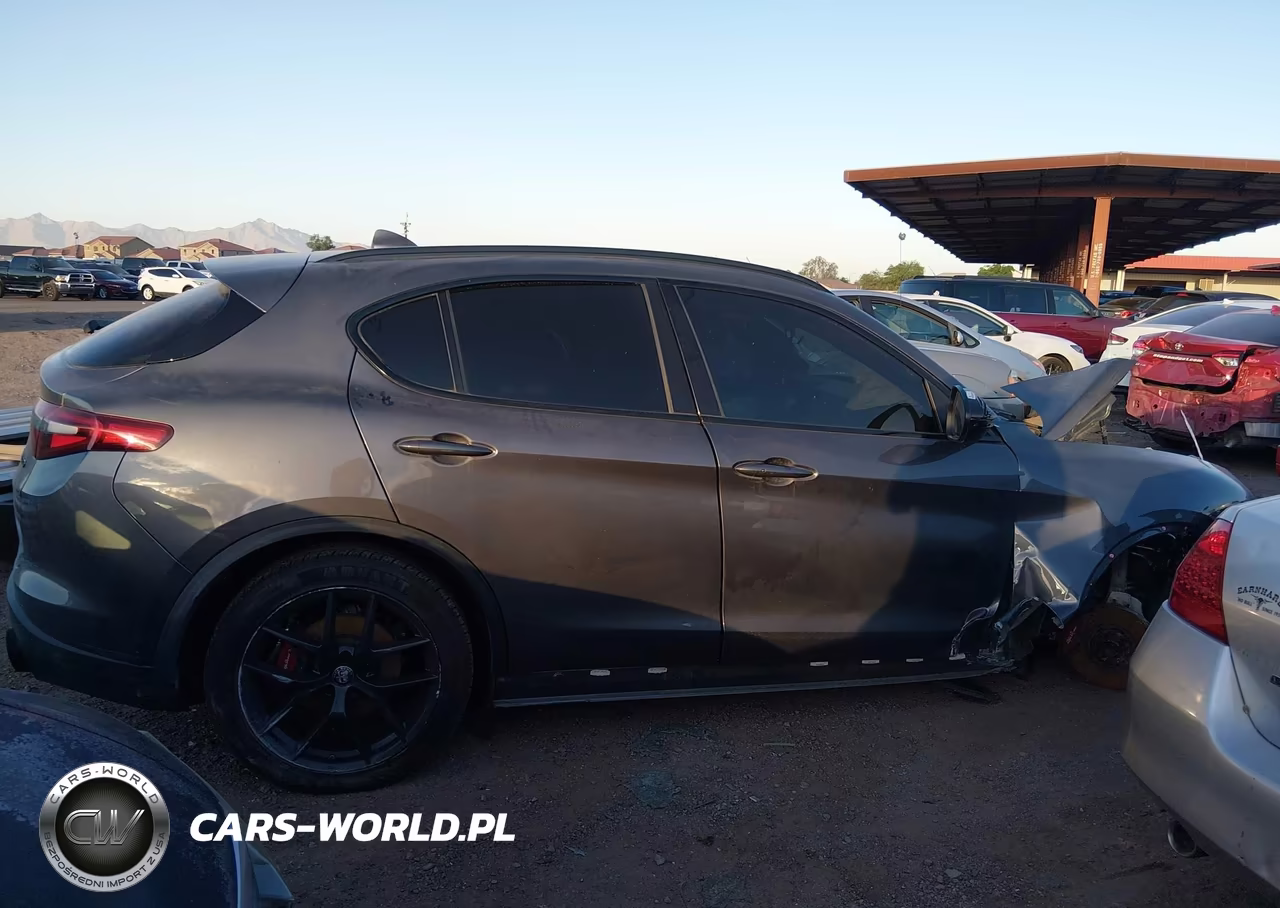 2020 Alfa Romeo Stelvio Rwd VIN:ZASPAJAN4L7C94775 - 12