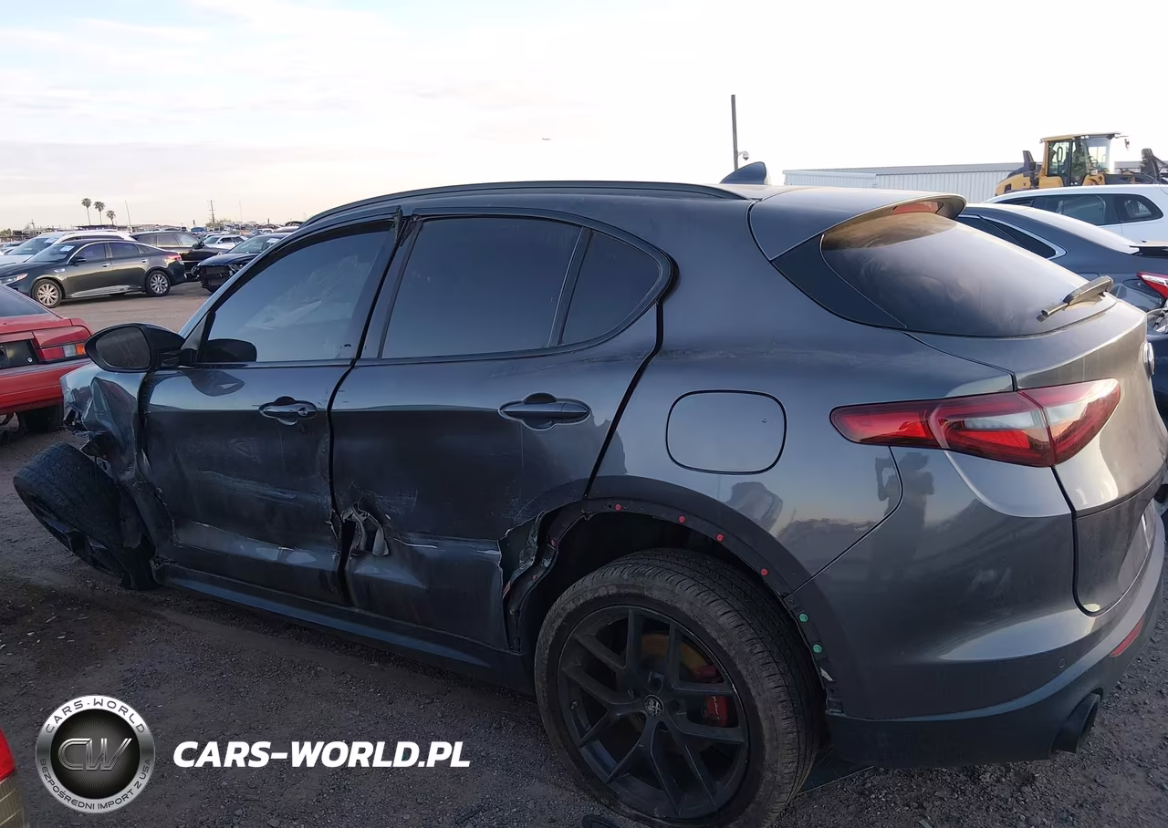 2020 Alfa Romeo Stelvio Rwd VIN:ZASPAJAN4L7C94775 - 13