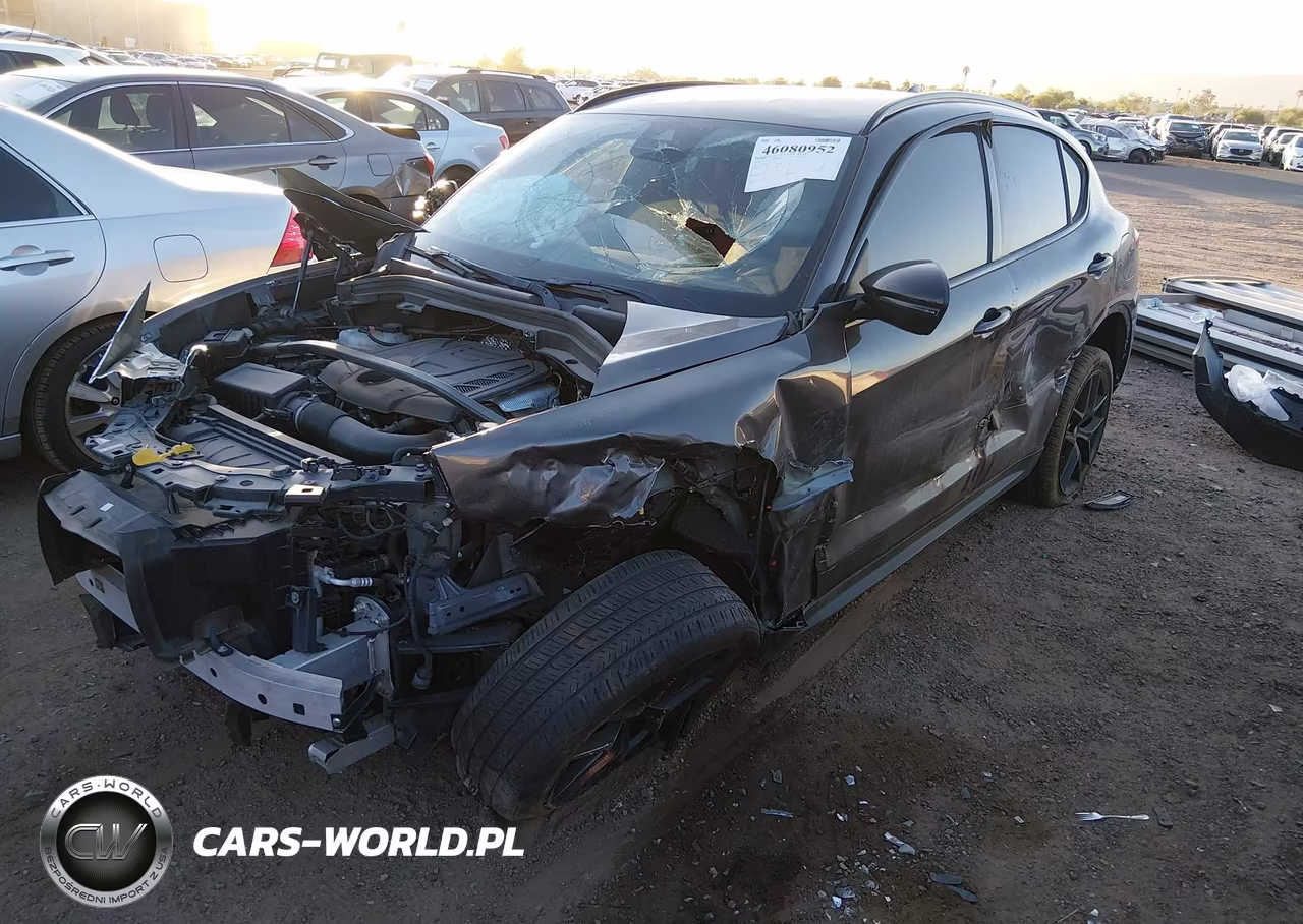 2020 Alfa Romeo Stelvio Rwd VIN:ZASPAJAN4L7C94775 - 2