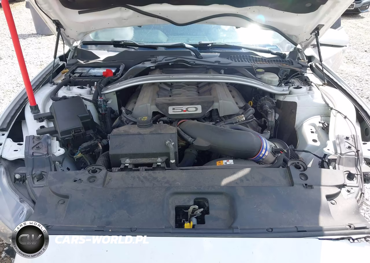 2017 Ford Mustang Gt VIN:1FA6P8CF3H5270123 - 10