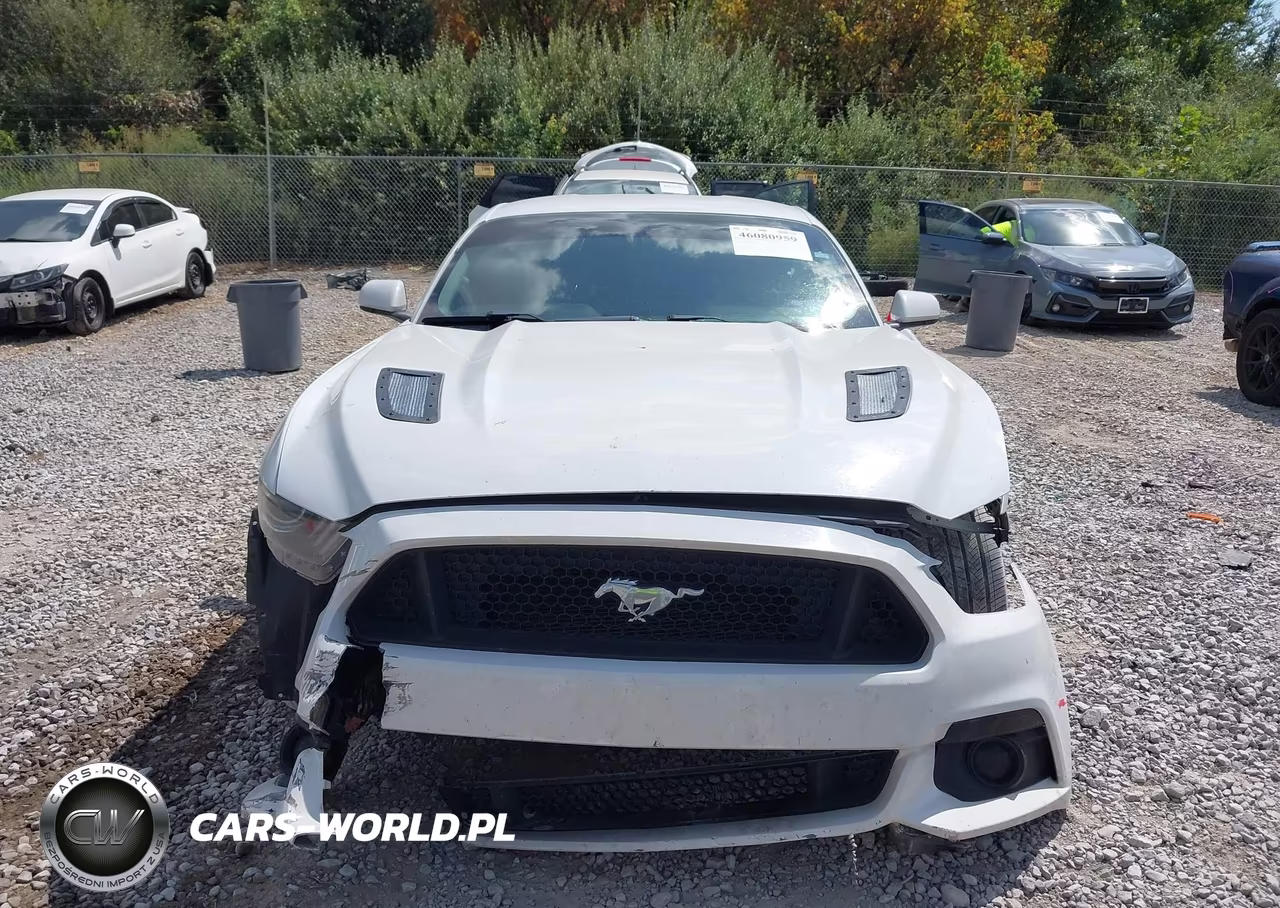 2017 Ford Mustang Gt VIN:1FA6P8CF3H5270123 - 12