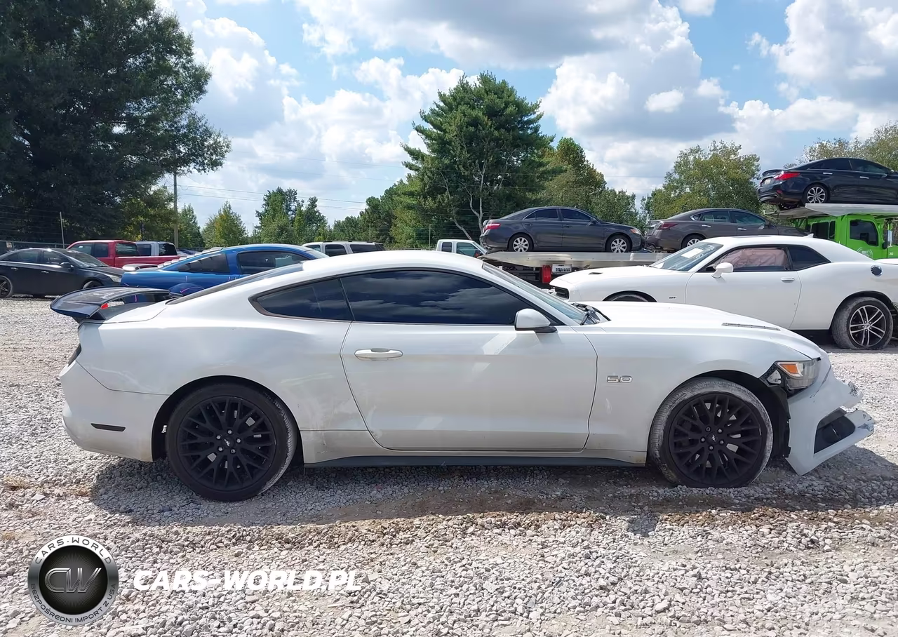 2017 Ford Mustang Gt VIN:1FA6P8CF3H5270123 - 13