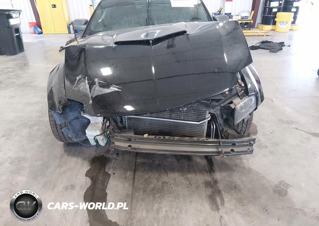 2006 Ford Mustang Gt VIN:1ZVHT82H065164174 - 13