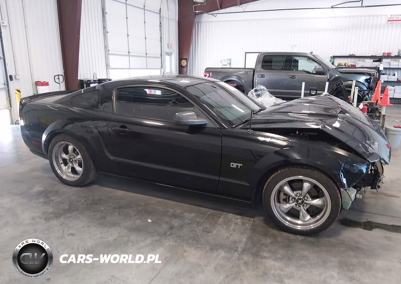2006 Ford Mustang Gt VIN:1ZVHT82H065164174 - 14