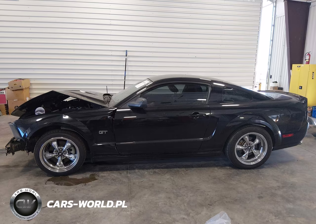2006 Ford Mustang Gt VIN:1ZVHT82H065164174 - 15