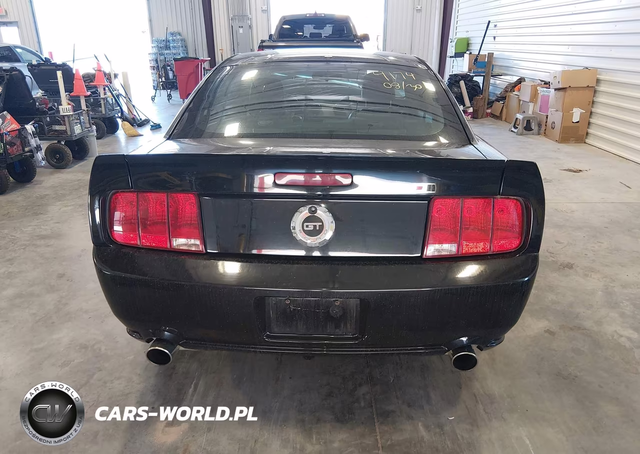 2006 Ford Mustang Gt VIN:1ZVHT82H065164174 - 17