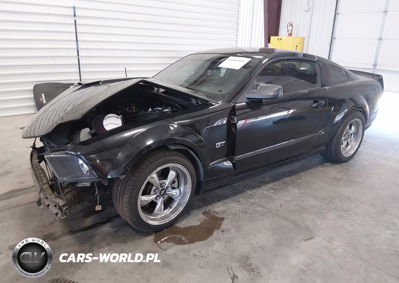 2006 Ford Mustang Gt VIN:1ZVHT82H065164174 - 2