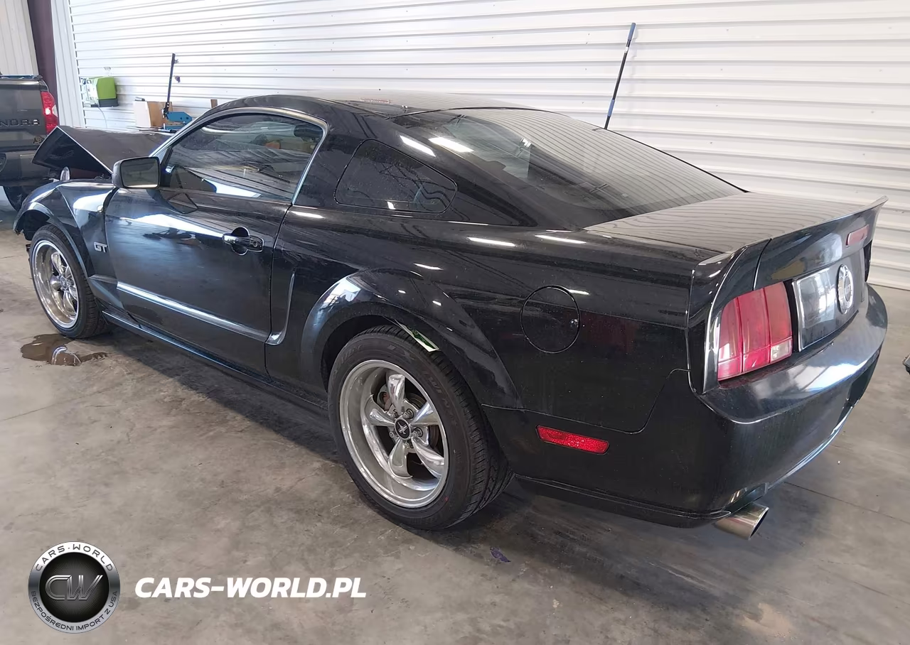 2006 Ford Mustang Gt VIN:1ZVHT82H065164174 - 3