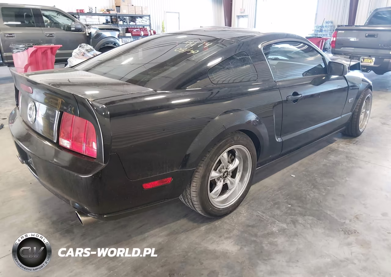 2006 Ford Mustang Gt VIN:1ZVHT82H065164174 - 4