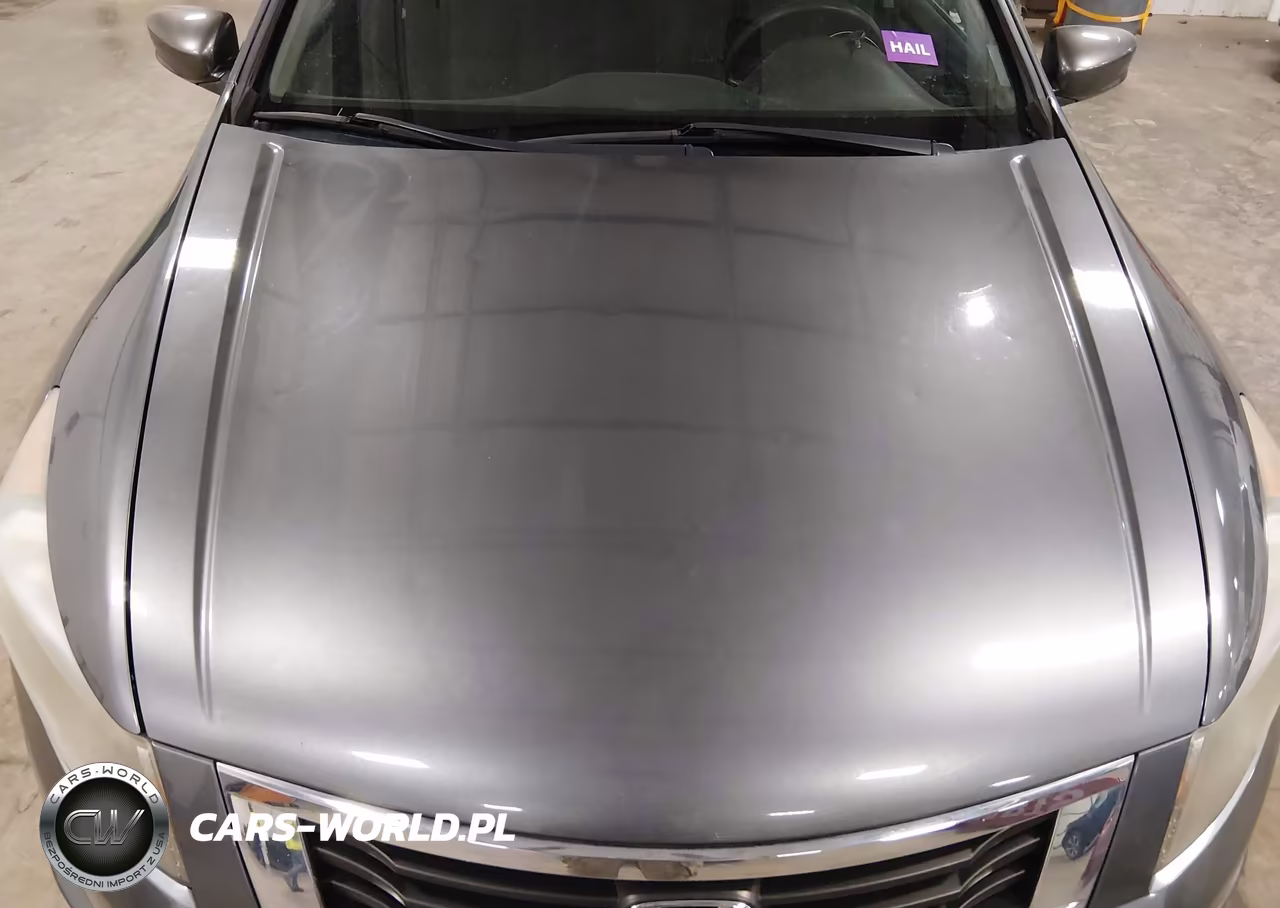2010 Honda Accord 2.4 Ex VIN:1HGCP2F78AA130503 - 6