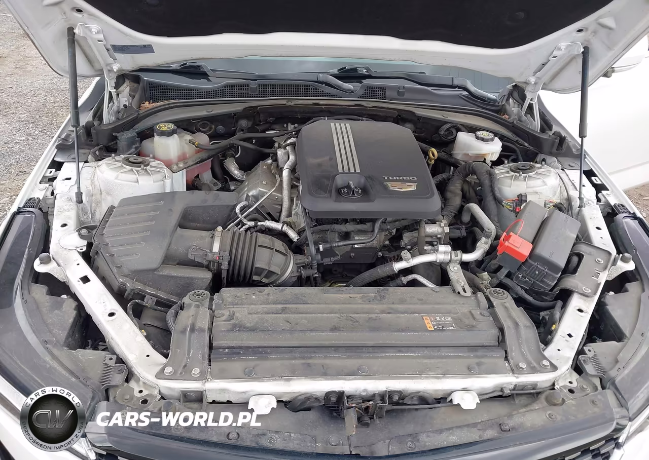 2021 Cadillac Ct4 Luxury VIN:1G6DK5RK6M0118396 - 10
