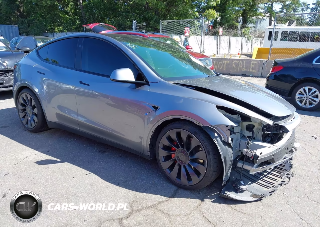 2025 Tesla Model Y Performance Dual Motor All-Wheel Drive VIN:7SAYGDEFXSF309436 - 1
