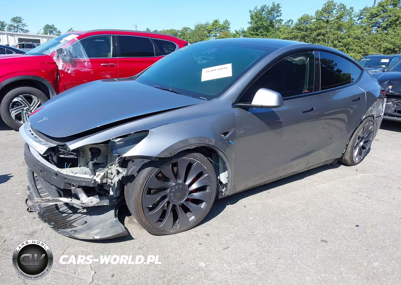 2025 Tesla Model Y Performance Dual Motor All-Wheel Drive VIN:7SAYGDEFXSF309436 - 2