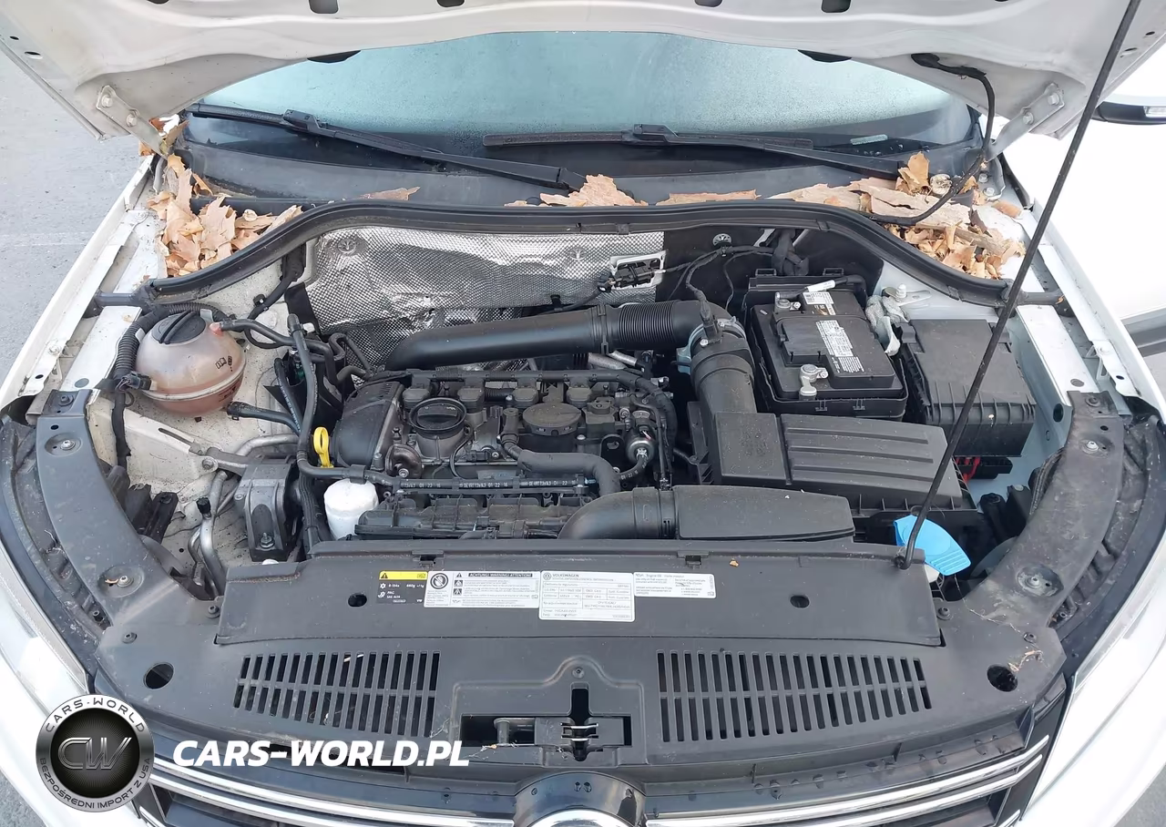 2017 Volkswagen Tiguan Wolfsburg VIN:WVGRV7AX9HW503656 - 10