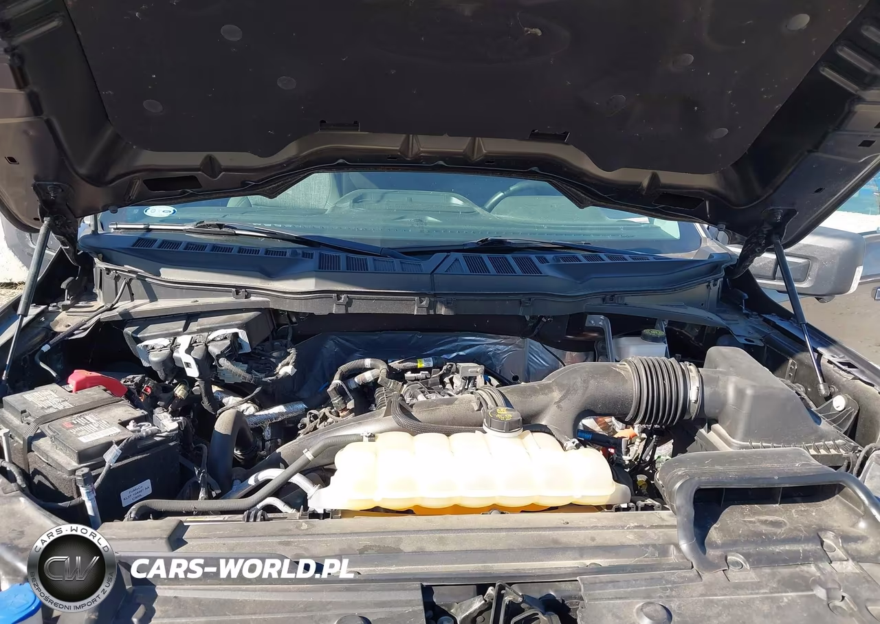 2021 Ford F-150 Xlt VIN:1FTEW1EP5MKE52388 - 10