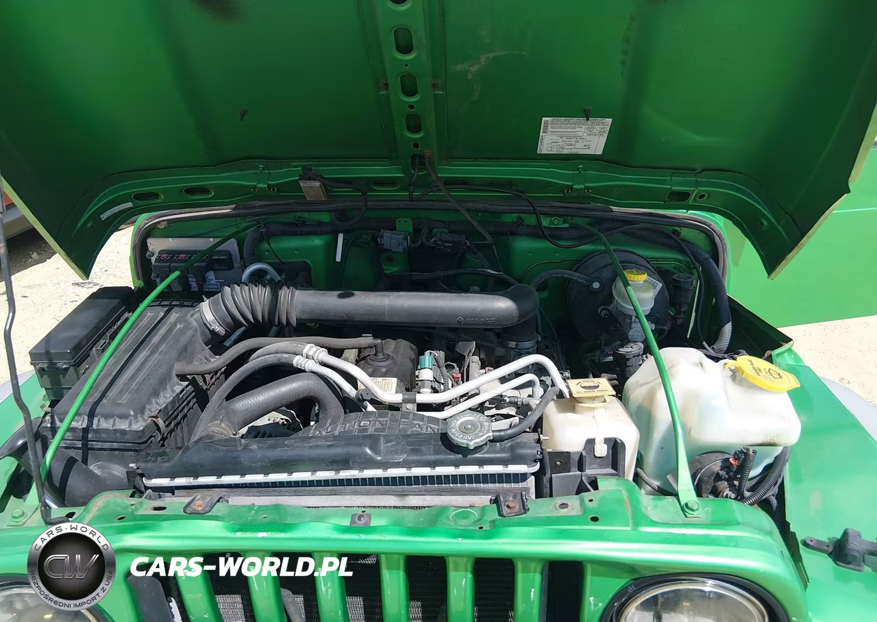 2005 Jeep Wrangler X VIN:1J4FA39S35P306647 - 10