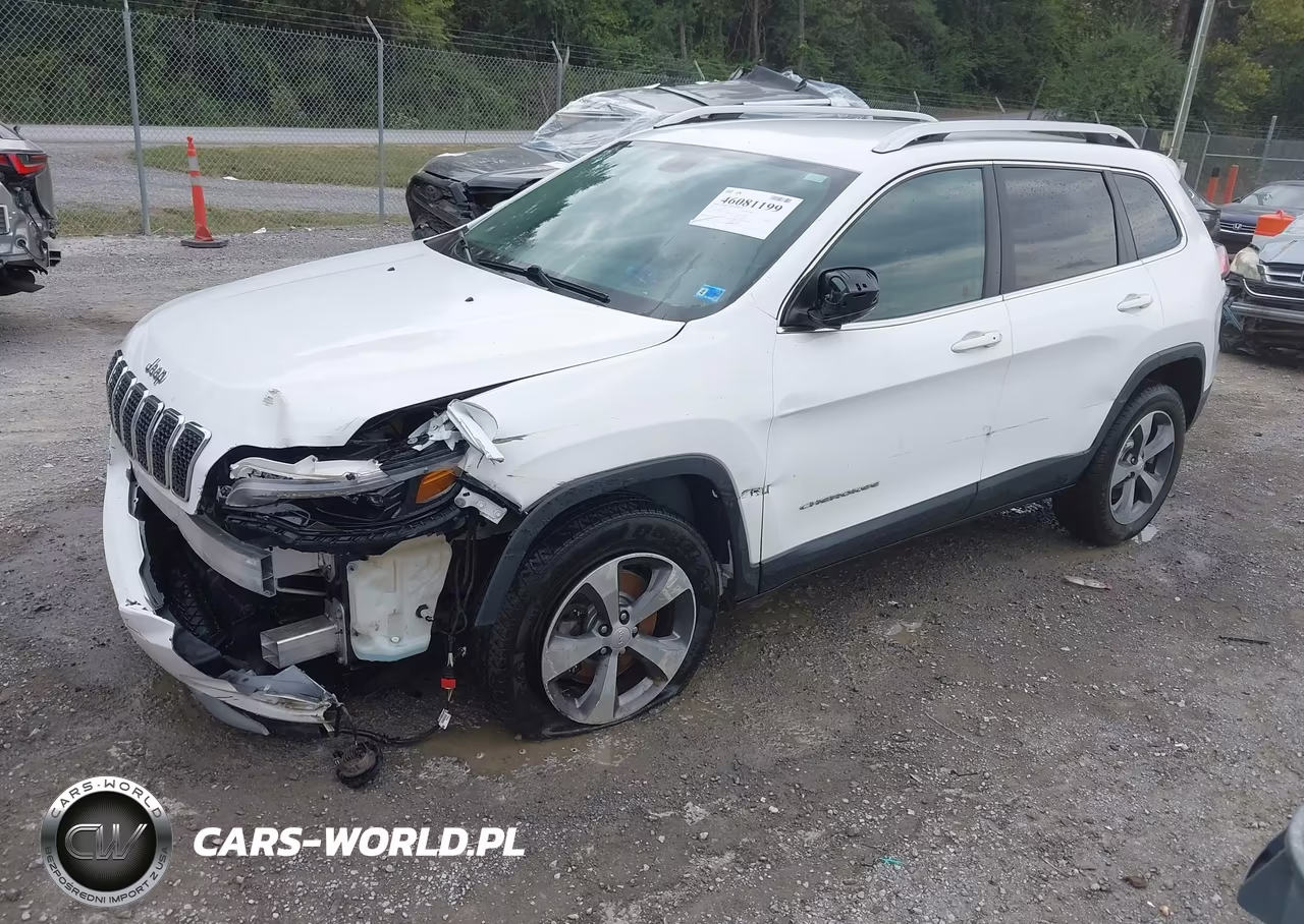 2019 Jeep Cherokee Limited 4X4 VIN:1C4PJMDX1KD232337 - 2