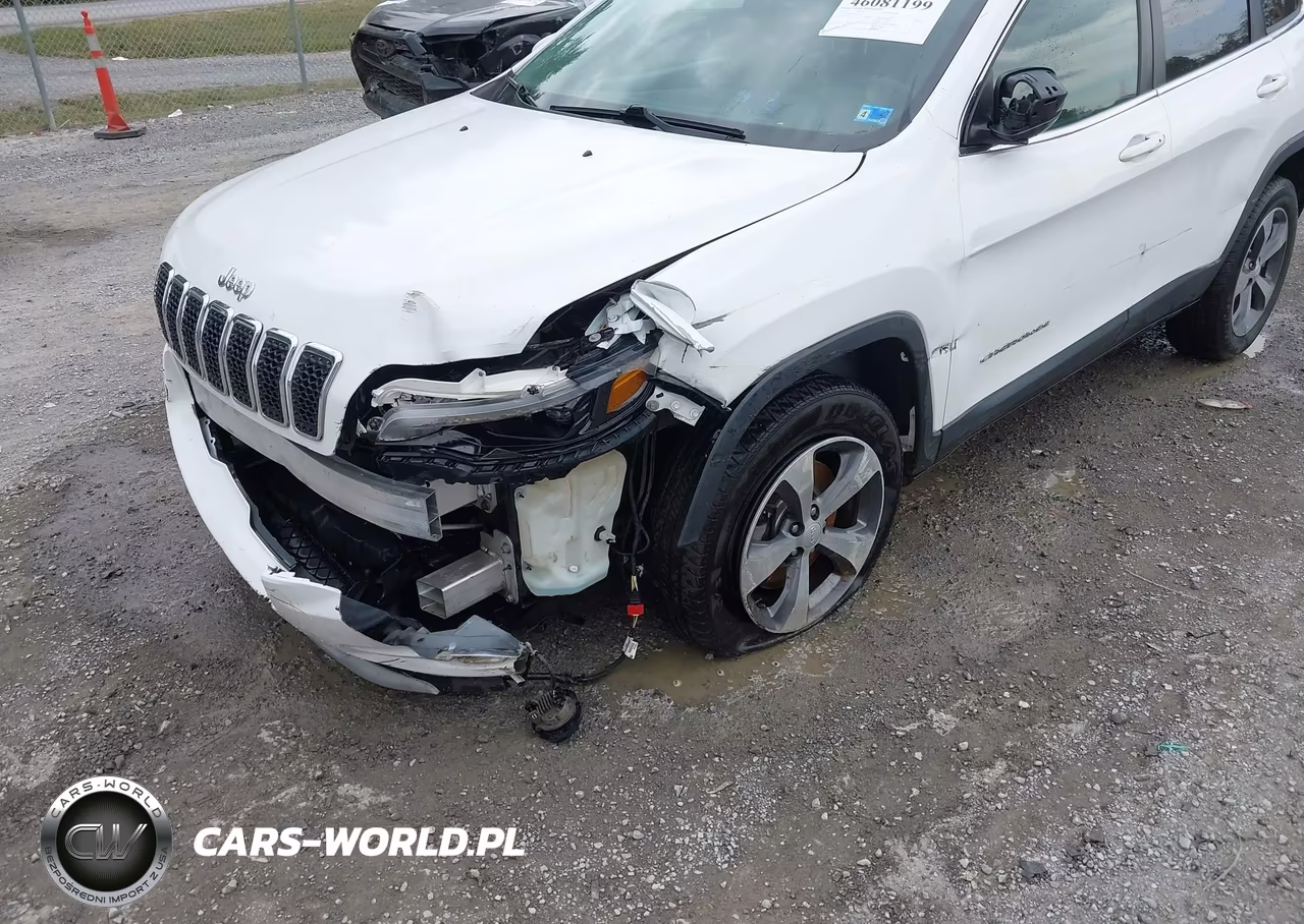 2019 Jeep Cherokee Limited 4X4 VIN:1C4PJMDX1KD232337 - 6