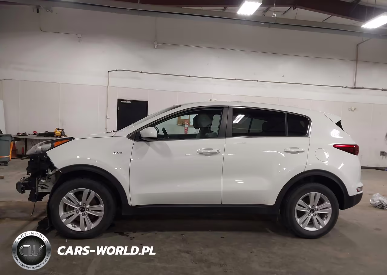 2019 Kia Sportage Lx VIN:KNDPMCAC1K7615034 - 15